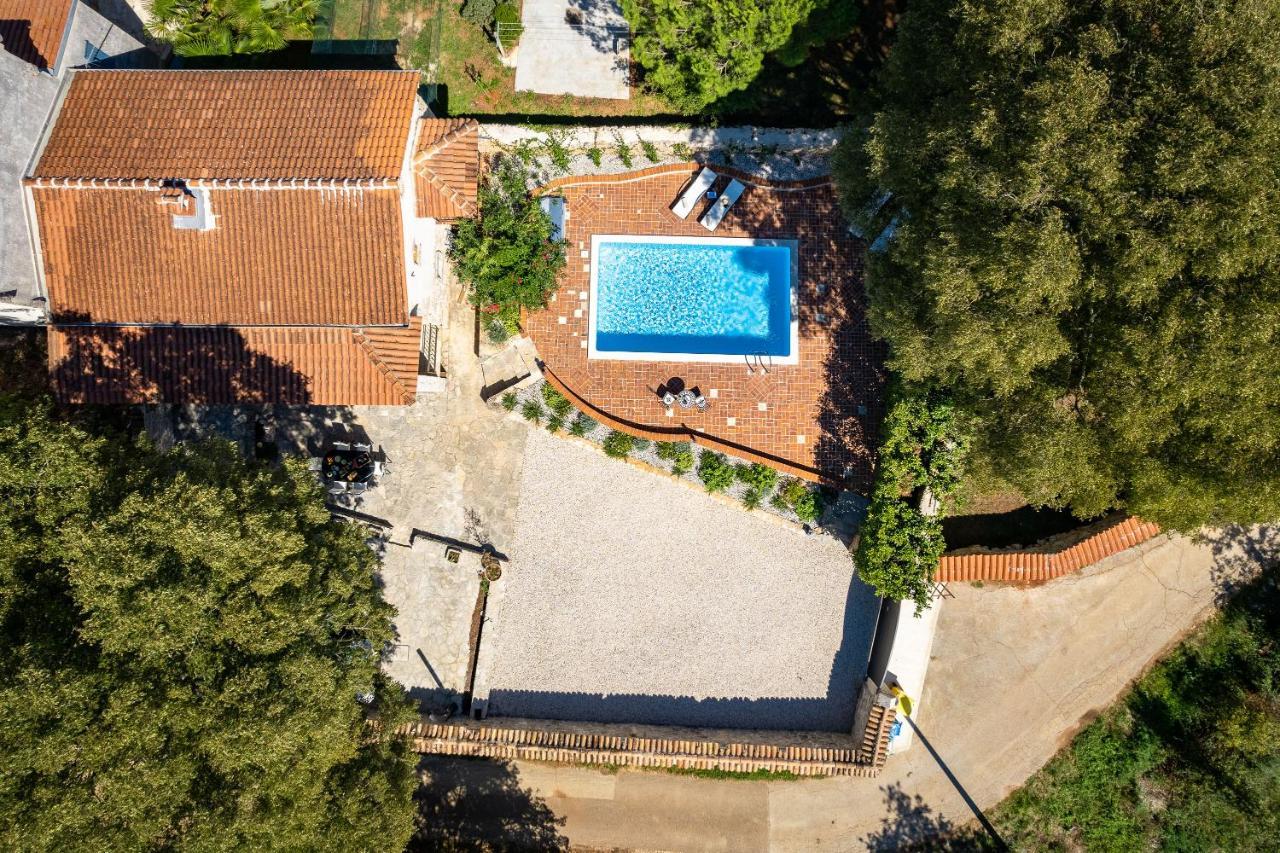 Villa Arboretum Poreč Exterior foto